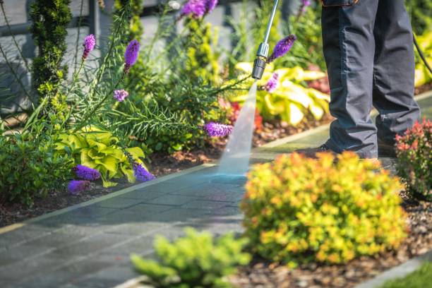 Best Pool Deck Cleaning  in Garrett, WA